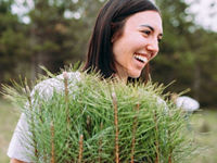 Volunteers planting pine trees in an open field
